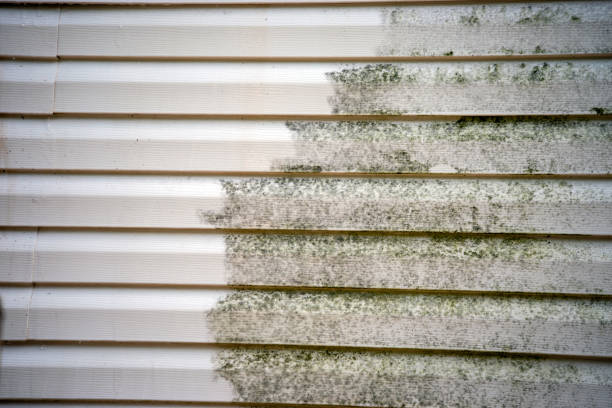 Best Hoarding Cleanup  in Vaville, CA